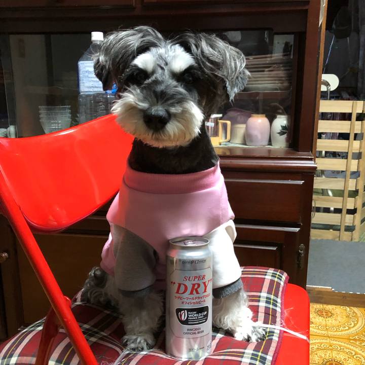 B5ef1e57 d90c 4aed bbb1 a626557cf6ca 1697894370317