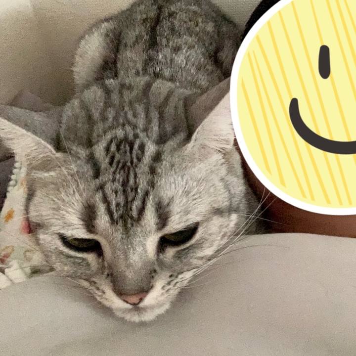 B5ef5b60 97ee 45a2 9b40 cbe3435b2cb5 1617324691313