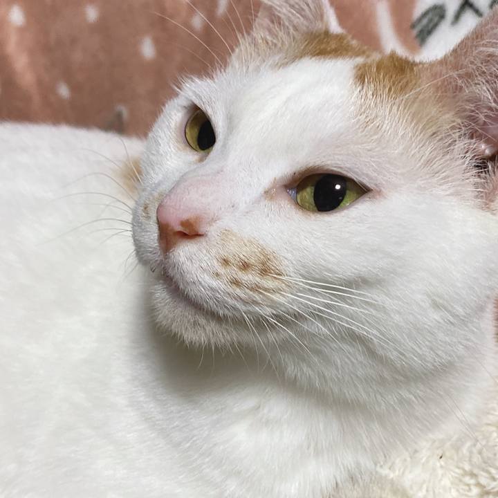 B5ef5c3f 2805 43c5 966e f2c773d7461d 1619867643549