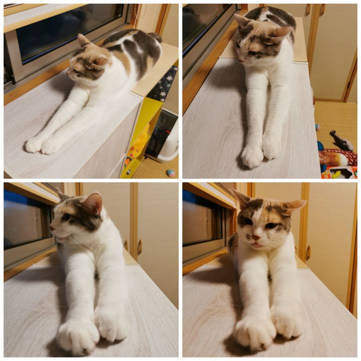 B5ef6ca5 80ca 4632 81d6 36b382db54f9 1629273826758