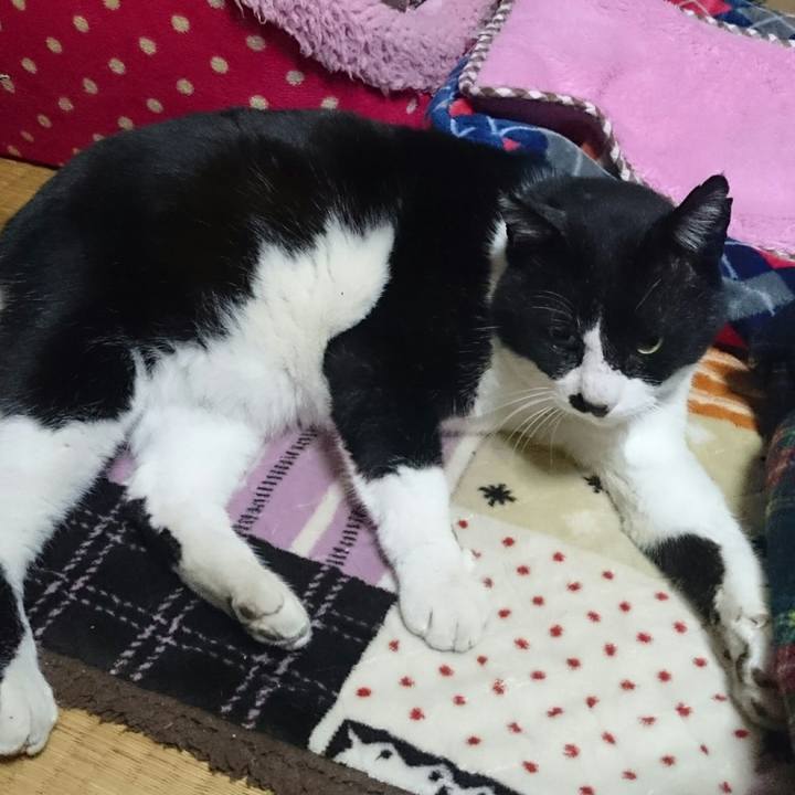 B5ef751f db3f 4573 a5c2 4d4d99cc753d 1519549398384