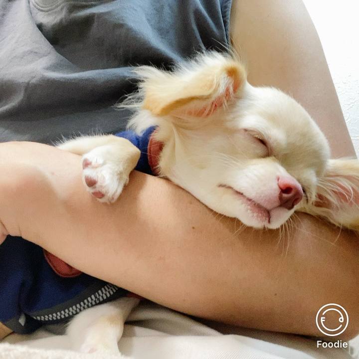 B5ef762f b9b4 41e2 9443 130cb4d81108 1598151608552