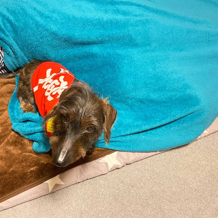 B5efd46c e610 4223 8c0f dd60fdc29272 1585156025654