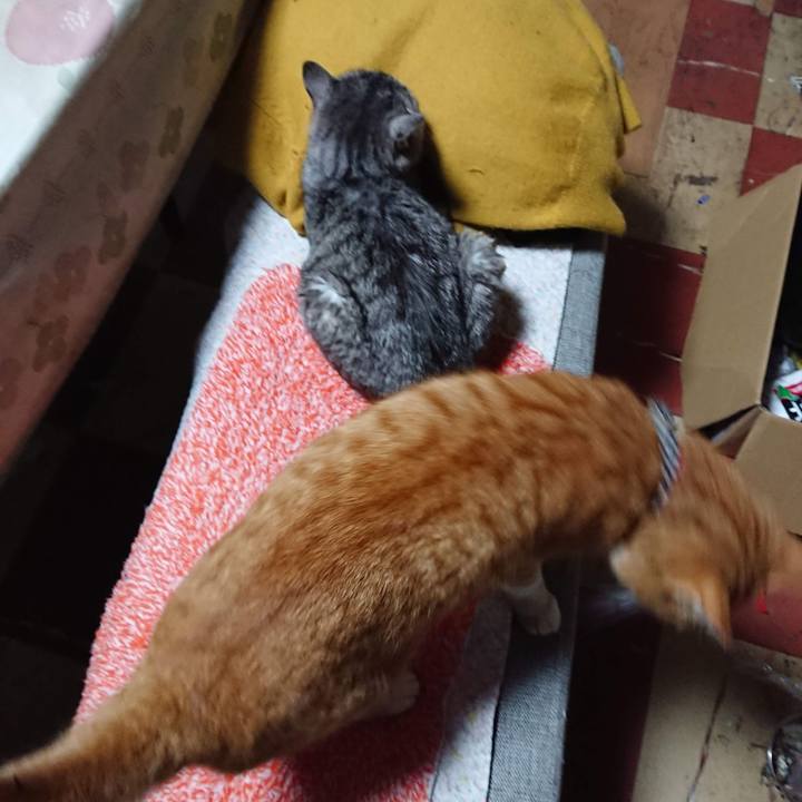 B5efe128 50f1 40d1 9533 235035839076 1605388558838