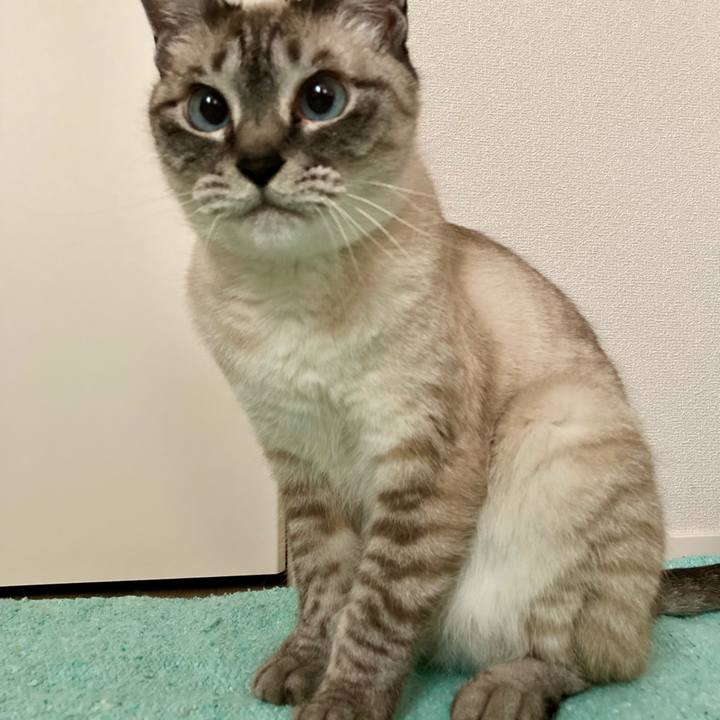 B5efe45f 4da5 47f4 8636 aa29ceb1ed7b 1717664473237