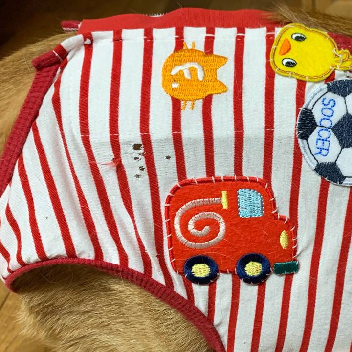 B5f03e7f 042e 4ac7 8080 000b00fa9451 1576534819865