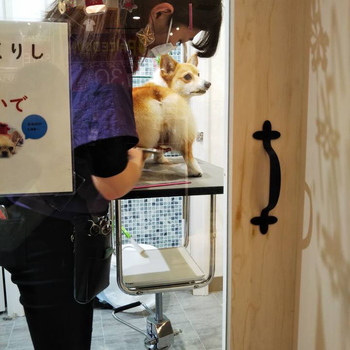 B5f07829 f079 4e47 b1f1 cfe25b73ed0b 1577535115095