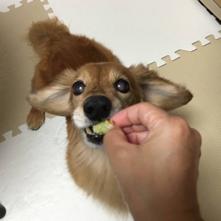 B5f07aff 343e 43f1 9d19 42099c001cd5 1632483849402