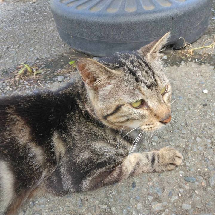 B5f0cd8b 8aad 4465 aaa5 c99815665f80 1691711151813