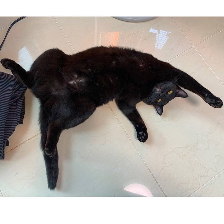 B5f0da64 1db5 42fa ac98 e2127d55d840 1581065021778