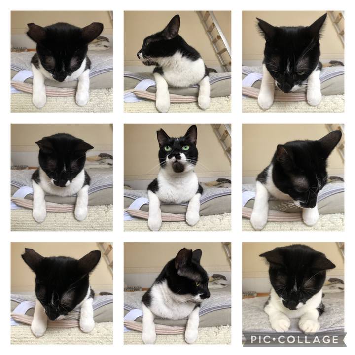 B5f0f982 a00e 433d b69a 8d670a47334a 1632843025888