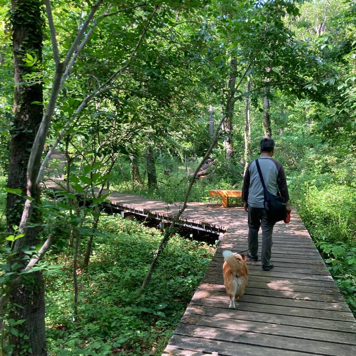 B5f110cf 584a 4933 bee3 0577a62d6e34 1746497933018