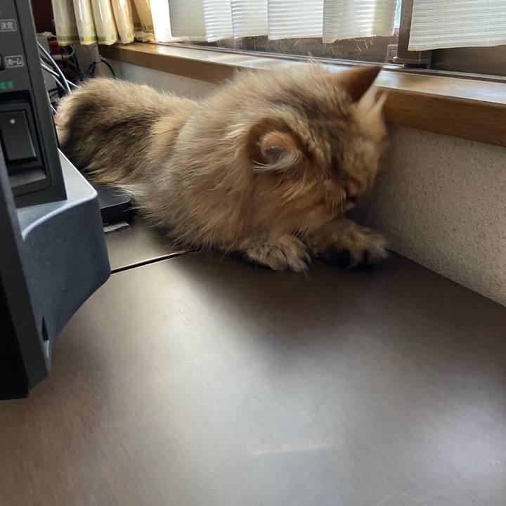 B5f12b2d 7993 4bdf a3de 5c9d19798b37 1595229406061