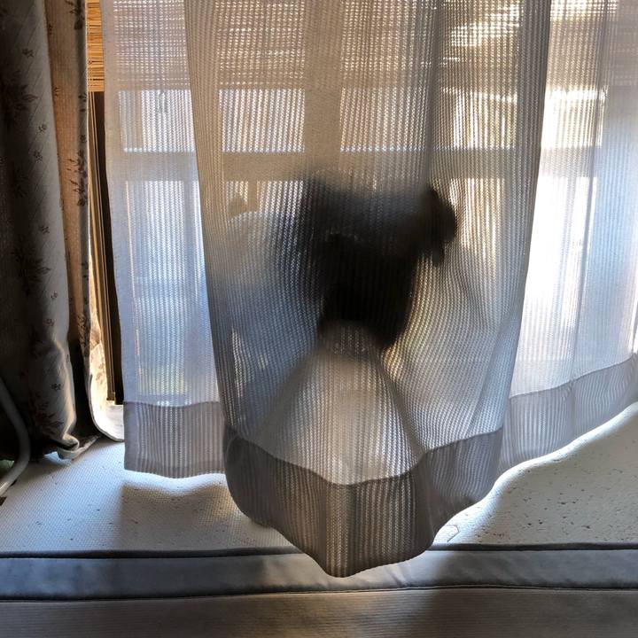 B5f157f5 4ec1 4bcd 9ce7 9f7974764844 1631144384152