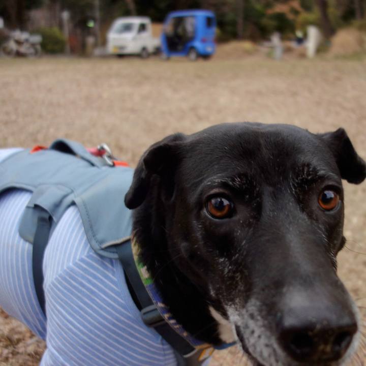 B5f1b95c 7d9f 4ce9 a7dc 30dfa6fc416e 1706836622183