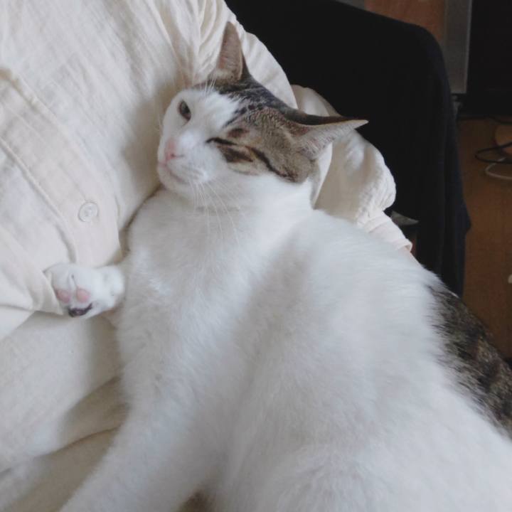 B5f1c8c3 5818 447c adf1 0f20c4c7d0aa 1726704676855