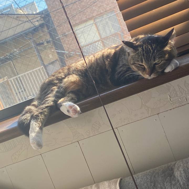 B5f1cfa6 5efd 4571 87e1 f388533ef750 1580621644643