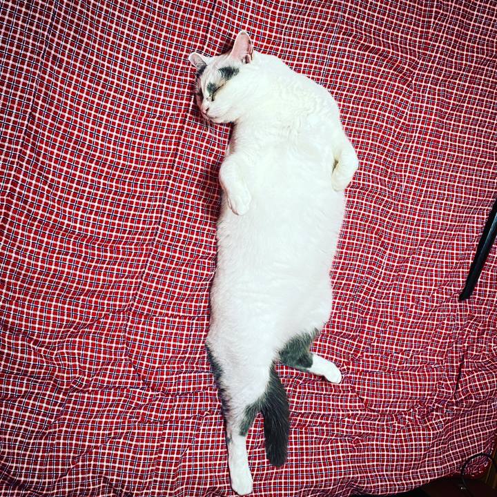 B5f1d771 ba21 4ca5 97ea 2628239c0ffd 1629233963707