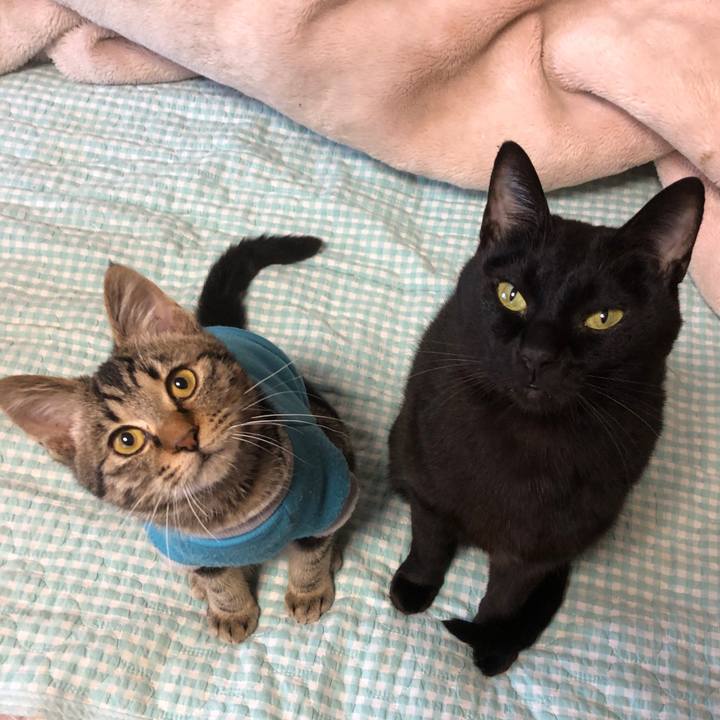 B5f1e51d f4cc 4775 8e7d 78055e0c7f4a 1732923352462