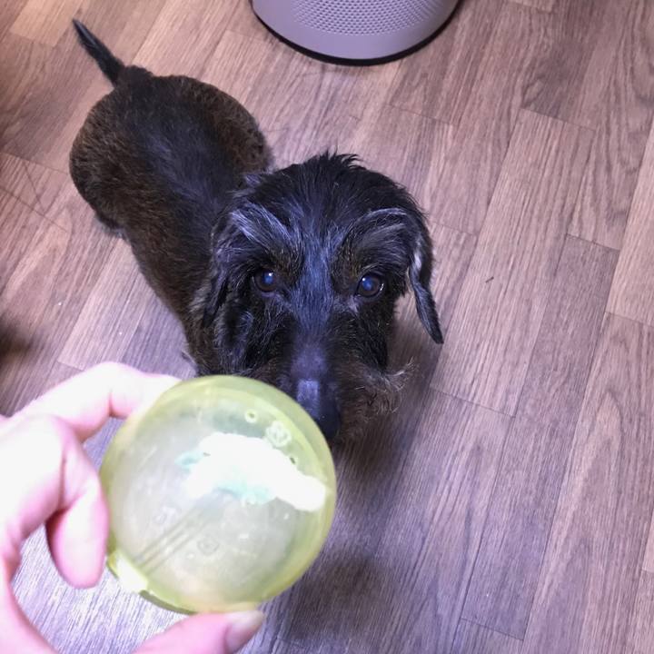 B5f26a62 cbc2 403a a6fe 197b64f2fe50 1547043602100