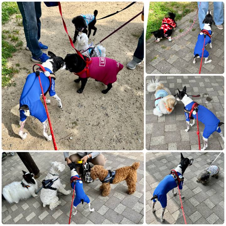 B5f2a837 7a4e 47e2 9444 87a4f5035e0d 1654391777235