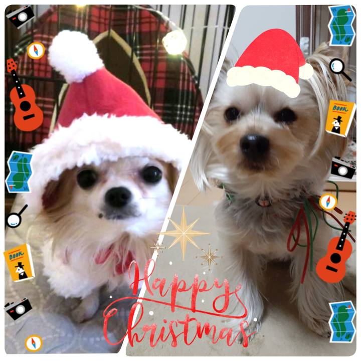 B5f2ad3b 46e7 491a bb0b e0dd0740d377 1576978179140