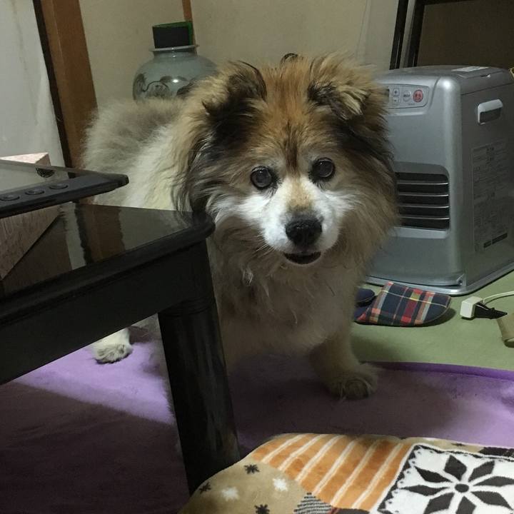 B5f2c33b ef34 45fa 9595 e985ba7282f9 1563767790490