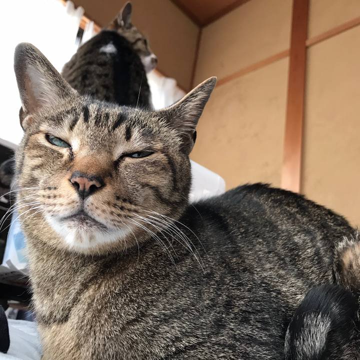 B5f2c560 2a79 4b1d b116 9da9989a5cd6 1524015461641