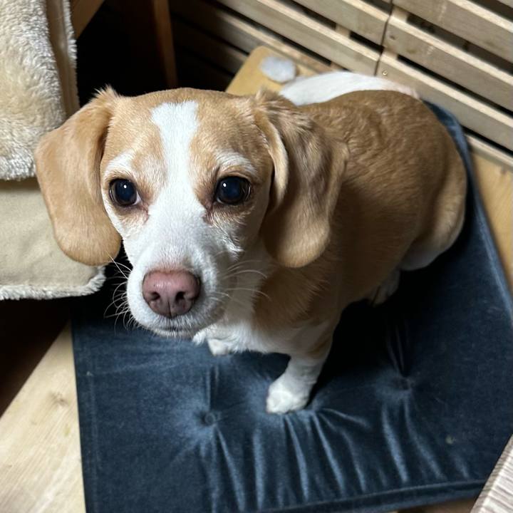 B5f2cdc2 441f 45ac 8dba 773bc8ffc6b9 1677513113494