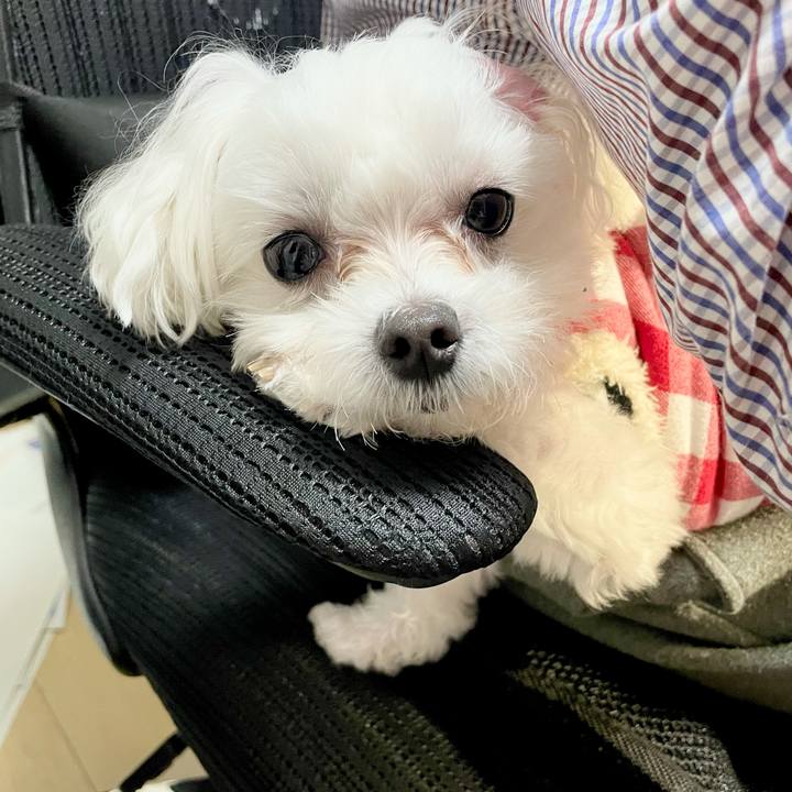 B5f2ebf0 8043 4e78 bed6 6d9d261d1bb4 1614916022778