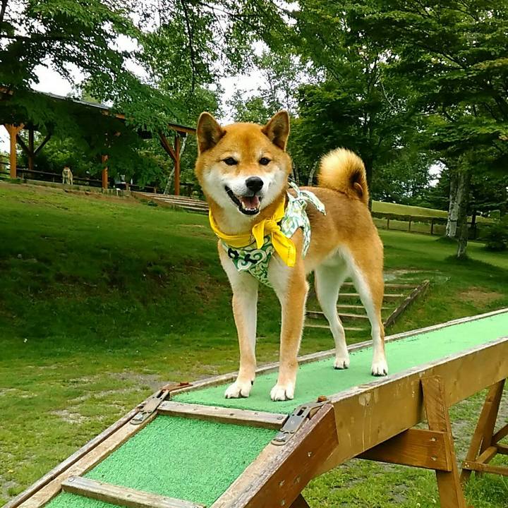 B5f2f658 4438 4f4b a4f7 b1892ff6f9c2 1562418329753