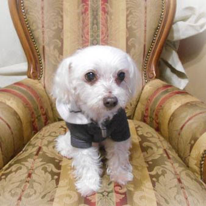 B5f312c8 c232 42b7 871d 9a6cb778193a 1522497978711