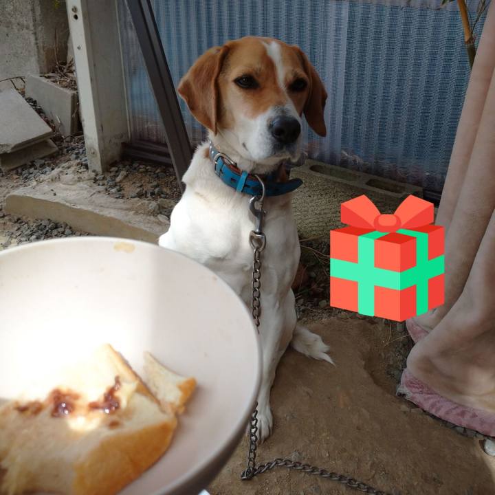 B5f314f3 2601 4093 8ce8 4df942d84b99 1614573815449