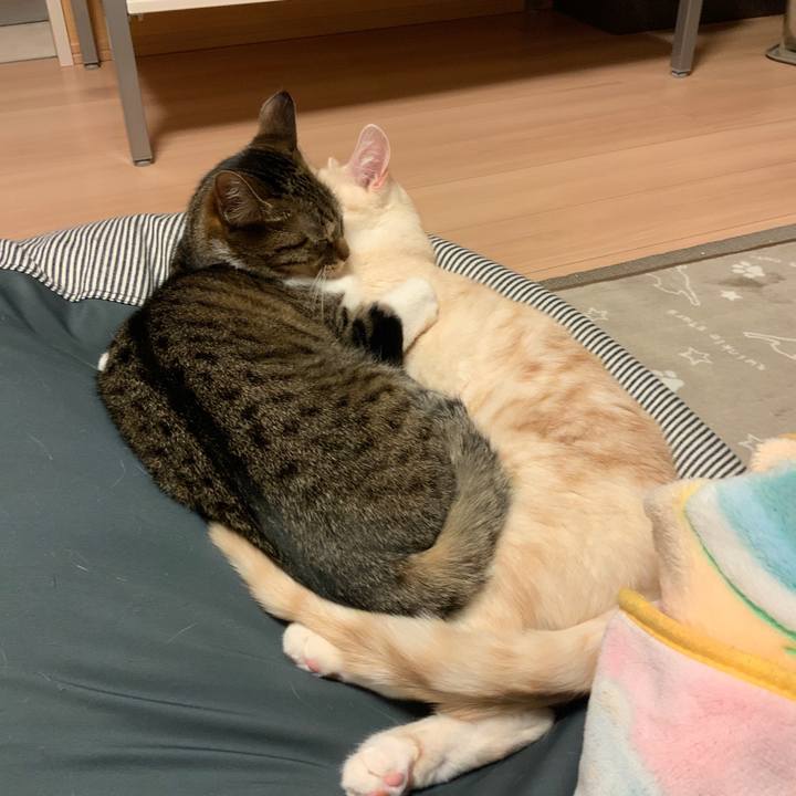 B5f32402 f2fe 4044 a997 f2a498598f92 1672140872019