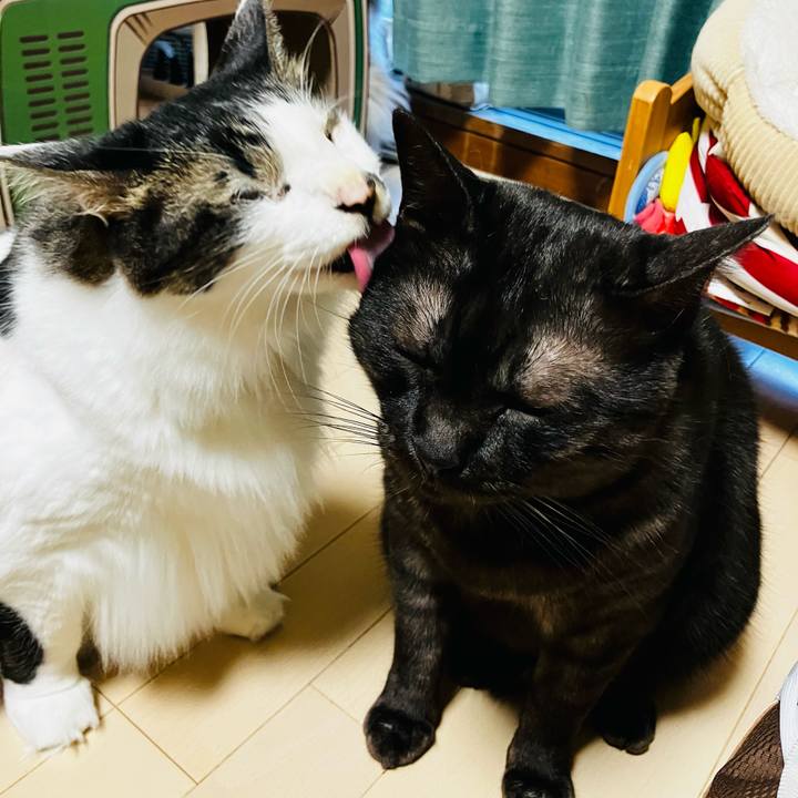 B5f36a38 202b 4536 a5dd 1a8d6e8a62d9 1754779159150