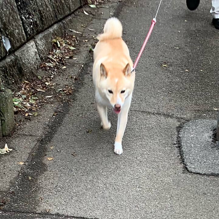 B5f37d3a 2639 4696 8185 54e55e3d33f5 1622154672256