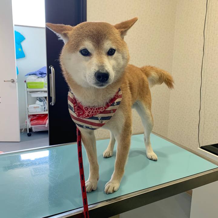 B5f39dbb bb1f 464f 8e5b c7f75e1fb707 1588064250843