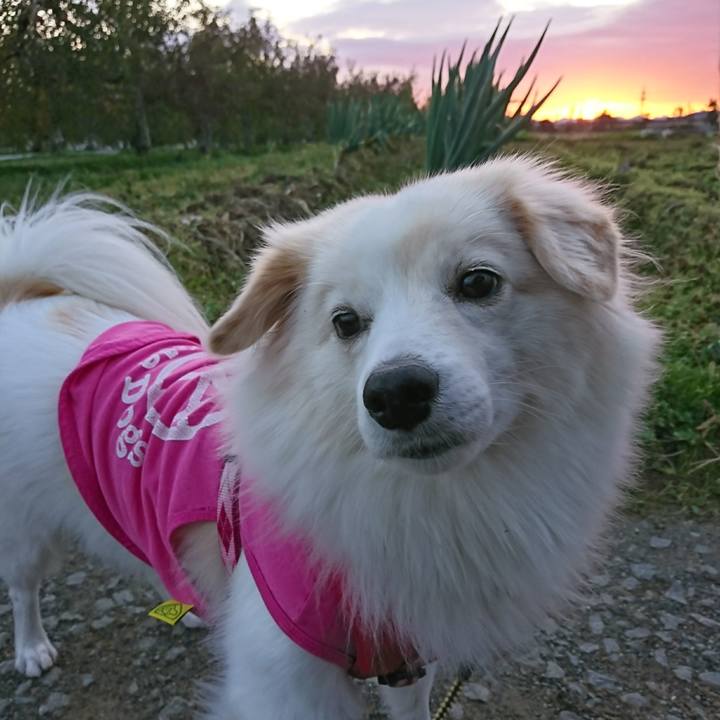 B5f3ae8f 702b 423f b054 830c22d8161a 1510869194518