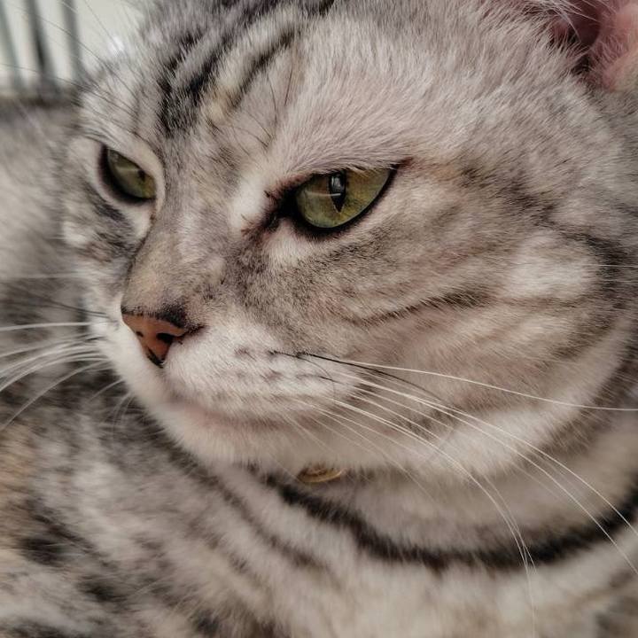 B5f3f35a eb2b 4848 baeb ec4ab0f5e88c 1763072777900