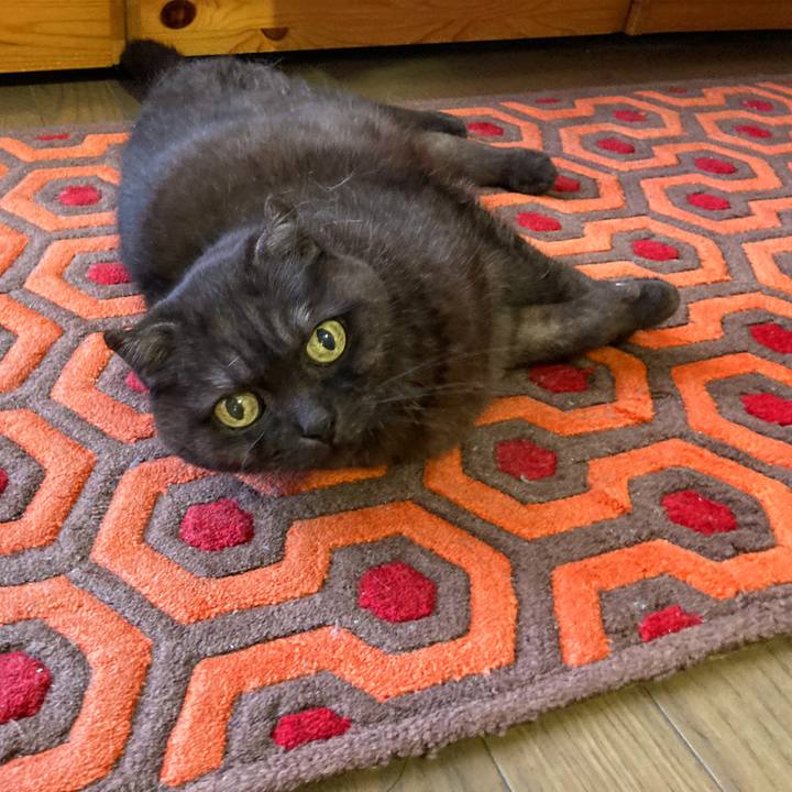 B5f436f9 53ff 41e4 a4c7 2848aea582e0 1619243827723