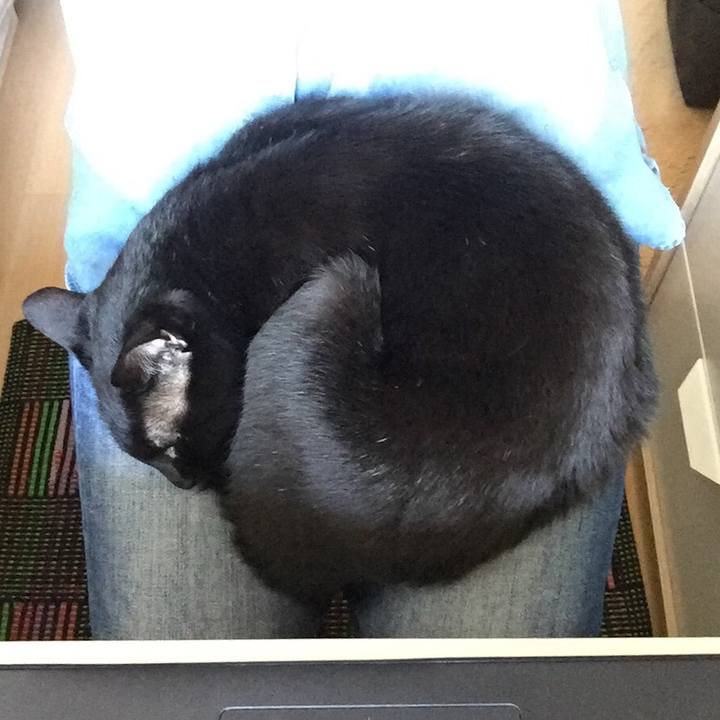 B5f43a1d 1fec 4501 b617 69935ee3974d 1588061428248