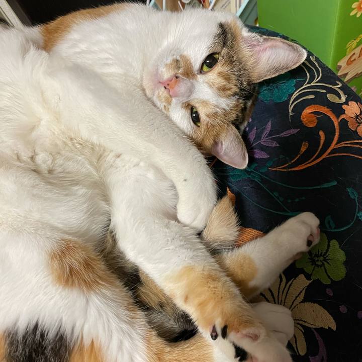 B5f4c8f2 fbaa 4631 899b 4b49c5cea7de 1621521313589