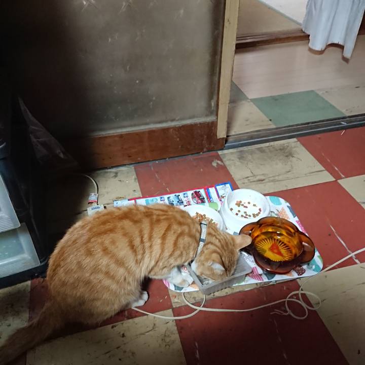 B5f4d3e2 df47 42e4 8ba6 c9a27cae1d09 1592422575709