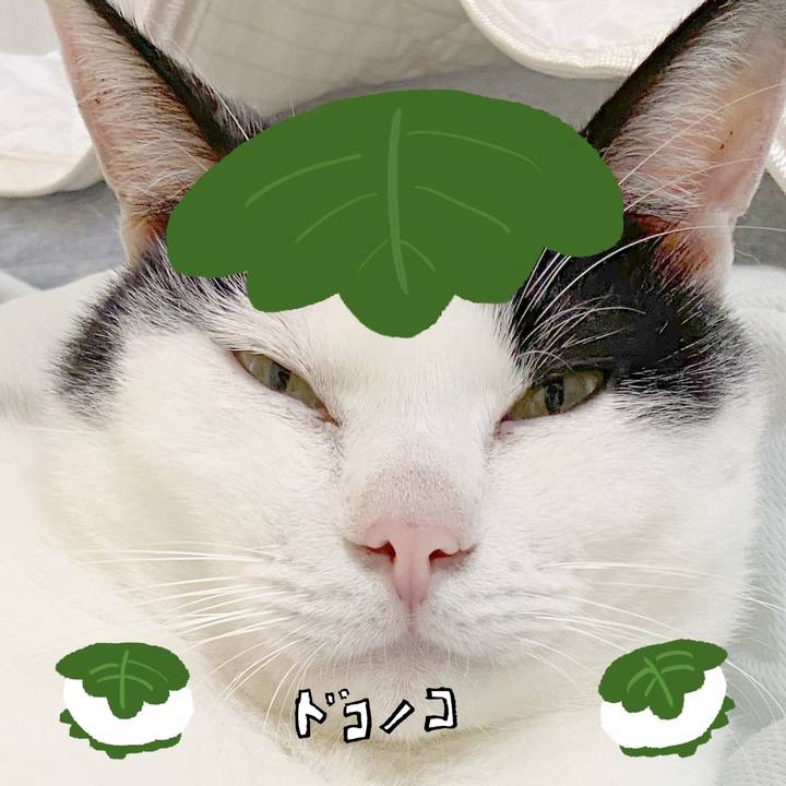 B5f4dd54 db26 478b be66 b9841134f785 1749122789129