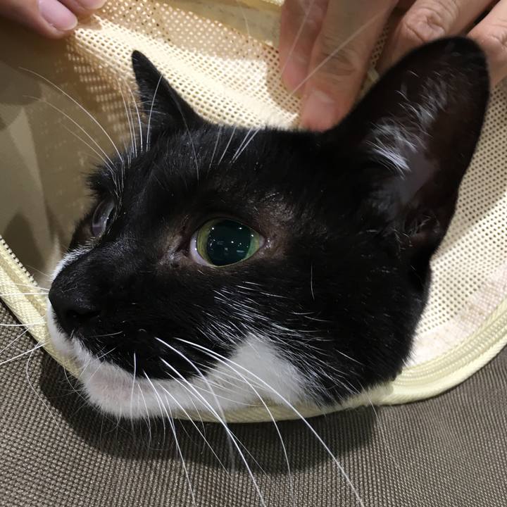 B5f4e641 1fa7 4683 a1e8 fdc4855391a1 1507743165448