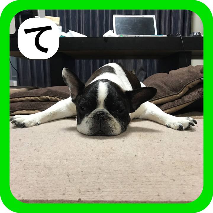 B5f4e68f b6a1 4427 abef 0b9bd3a1354f 1515396255487