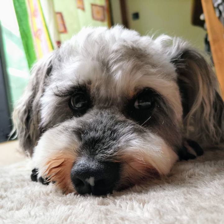 B5f4e942 053d 434d bd25 d97482b4ebdc 1719363427858