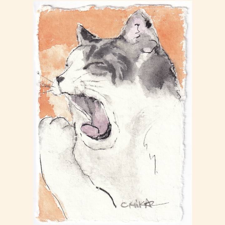 B5f4f136 21bc 44c3 afac ee38eded6da9 1763989073463