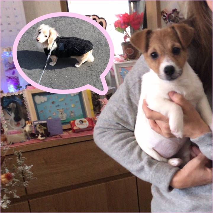 B5f4f151 8950 4a5f be2c 70bbb2412c53 1545029902023