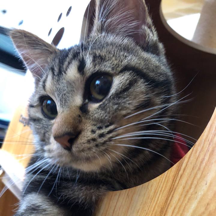 B5f50239 9db9 43e7 8748 4505bf2157b9 1739572048209